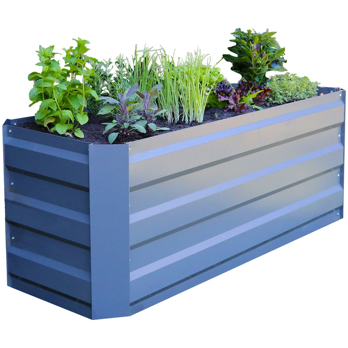 Greenlife Slimline Garden Bed And Greenhouse Cover 120 x 45 x 45cm Slate Grey - SuperSaverAU - view 2