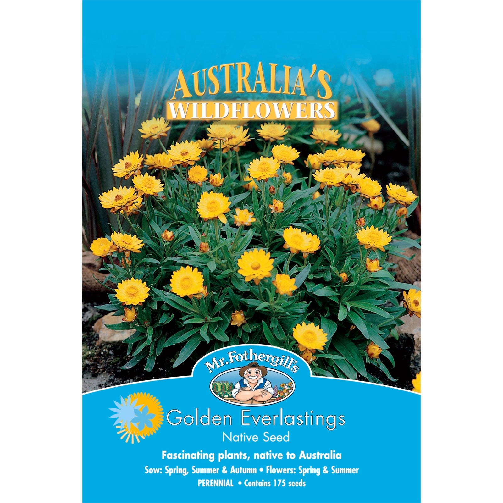 Mr Fothergill's Golden Everlasting Flower Seeds for Cutting & Drying