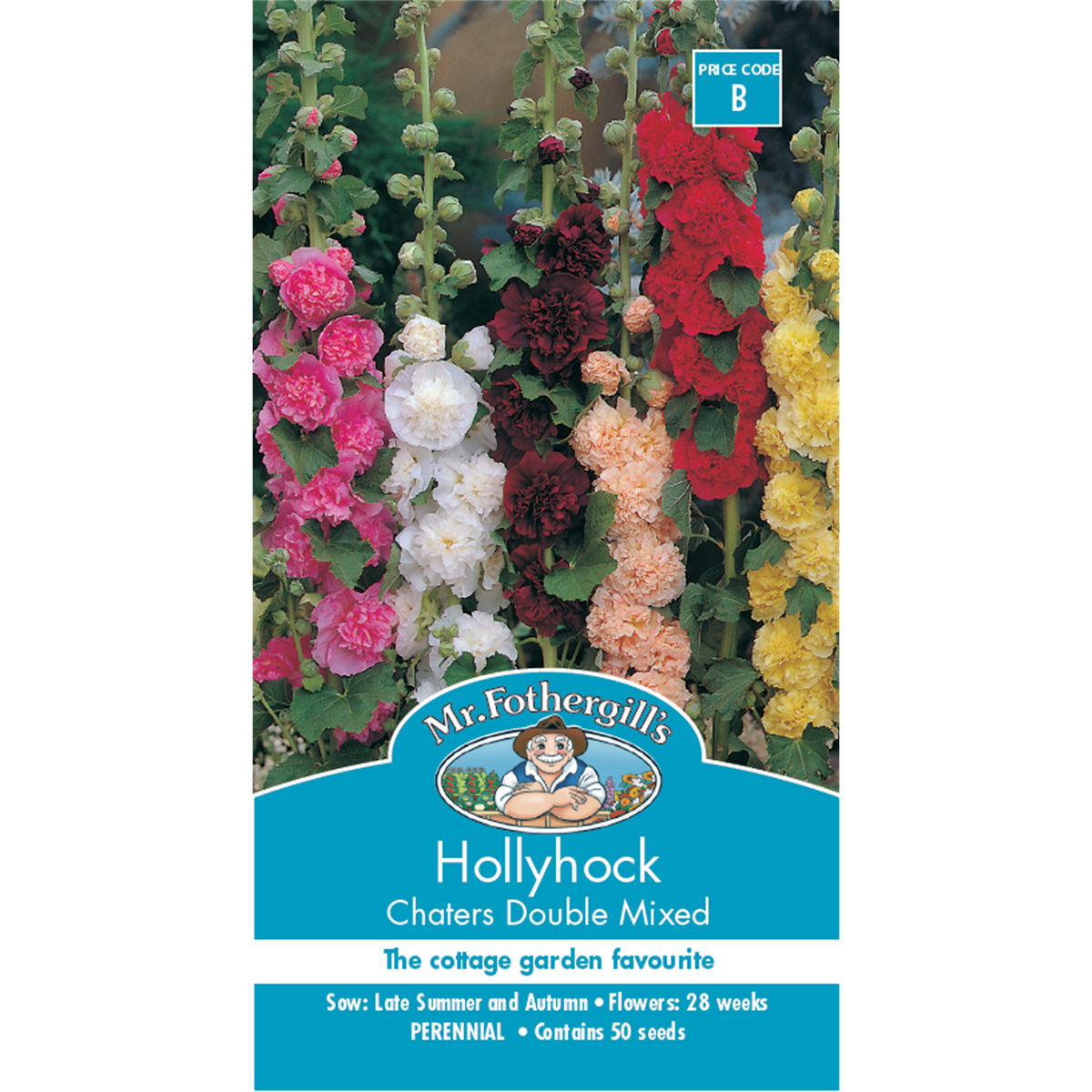 Mr Fothergill's Hollyhock Chaters Double Flower Seeds - Tall Cottage Garden Spikes, 240cm