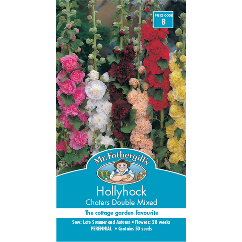 Mr Fothergill's Hollyhock Chaters Double Flower Seeds - Tall Cottage Garden Spikes, 240cm