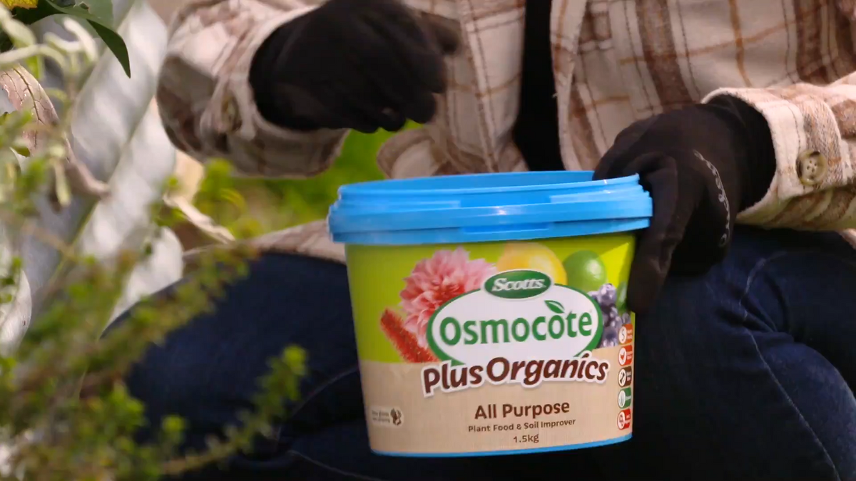 Scotts Osmocote Plus Organics 1.5kg All Purpose Plant Food & Soil Improver