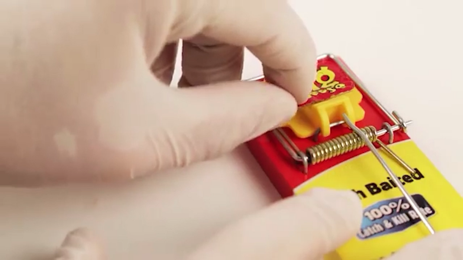 The Big Cheese Fresh Baited Mouse Trap - Refillable, Indoor & Outdoor