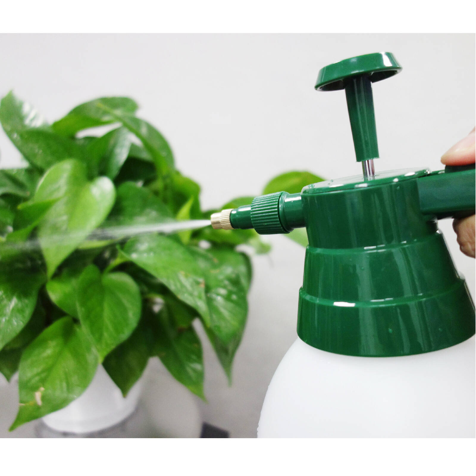 Aqua Systems 2L Garden Pressure Sprayer 245kPa