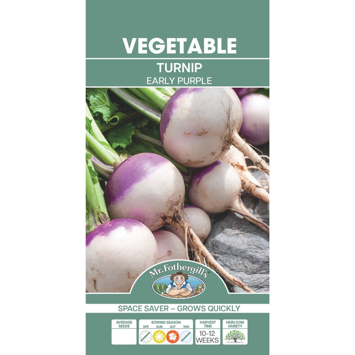 Mr Fothergill Early Purple Turnip Seeds - 1250 Seeds - Quick Growth - SuperSaverAU - view 1