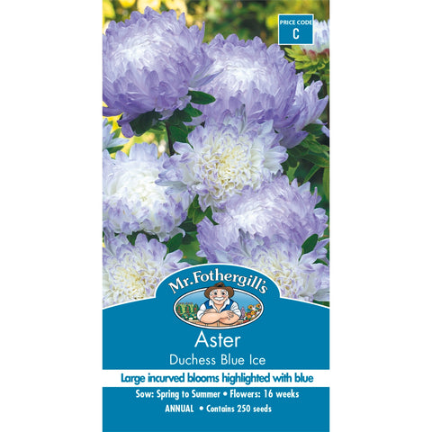 Mr Fothergill's Aster Dutchess Blue Ice Seeds, Dramatic White & Blue Blooms, Cut Flower