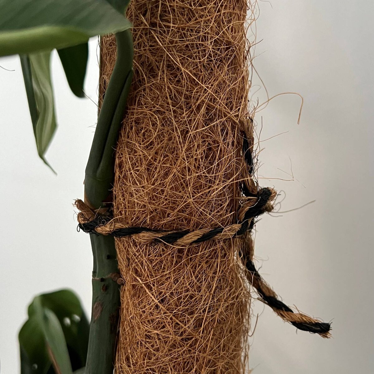 Pillar Products Black & Natural Twist Coco Twine 25m