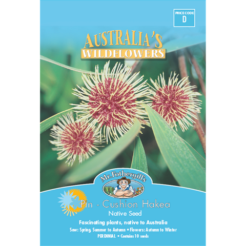 Mr Fothergill's Pincushion Hakea Flower Seeds, Native Bird-Attracting Shrub