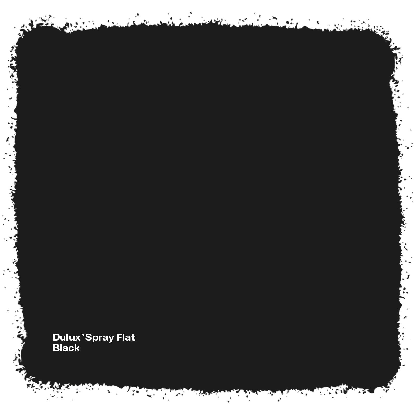 Dulux 340g Black Flat Spray Paint