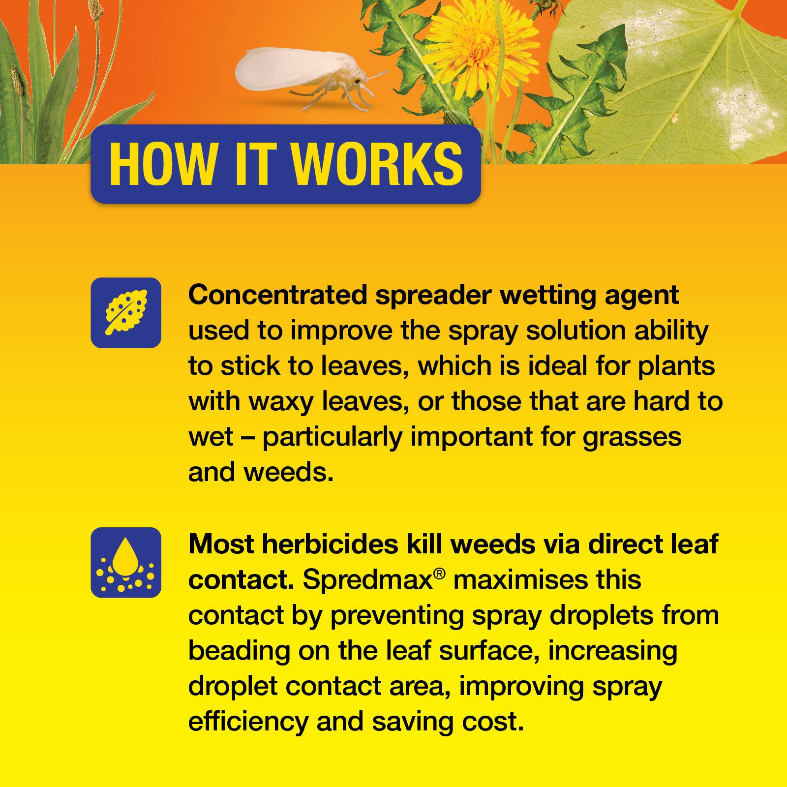 Searles Spredmax Liquid Wetting Agent Concentrate 200ml