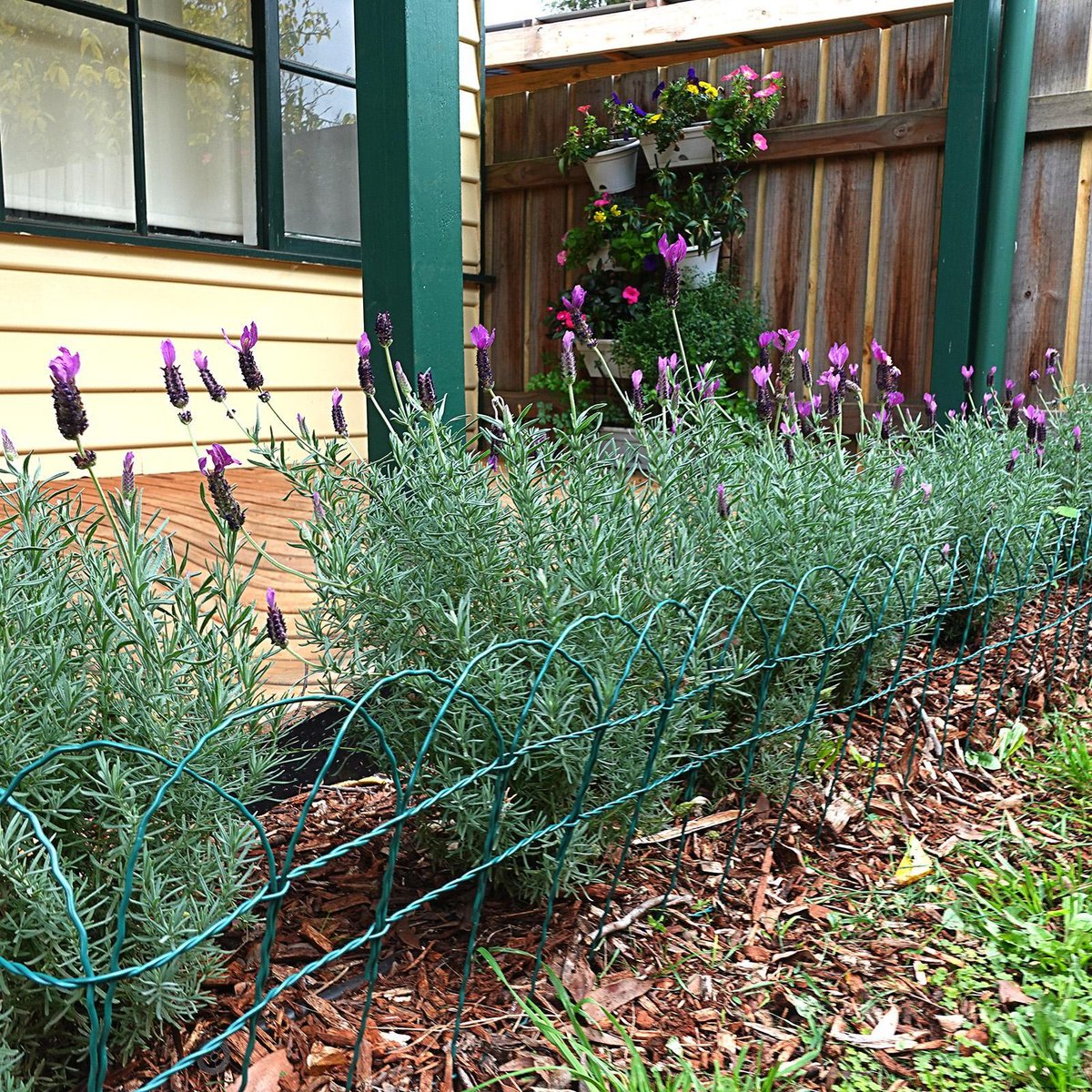 Jack Federation Edging - 400mm x 10m - Steel - Green - Easy Install - SuperSaverAU - view 2
