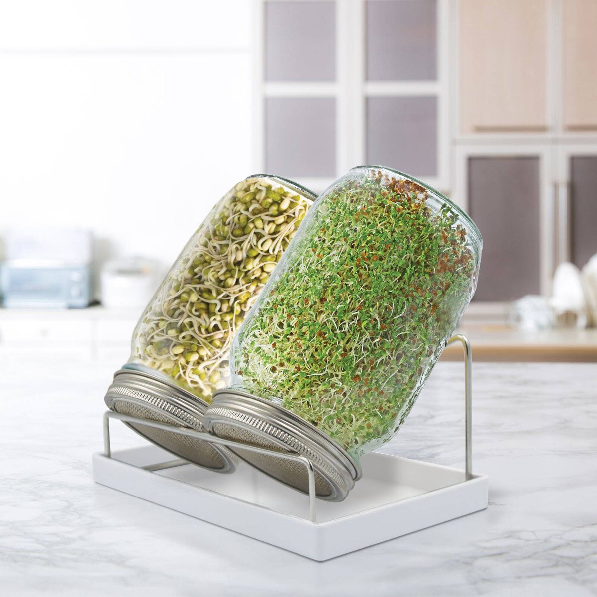 Mr Fothergill S Twin Sprouter Jar Grow Kit - 210mm x 200mm x 125mm - Compact Design - Includes Alfalfa & Mung Bean Seeds - SuperSaverAU - view 4