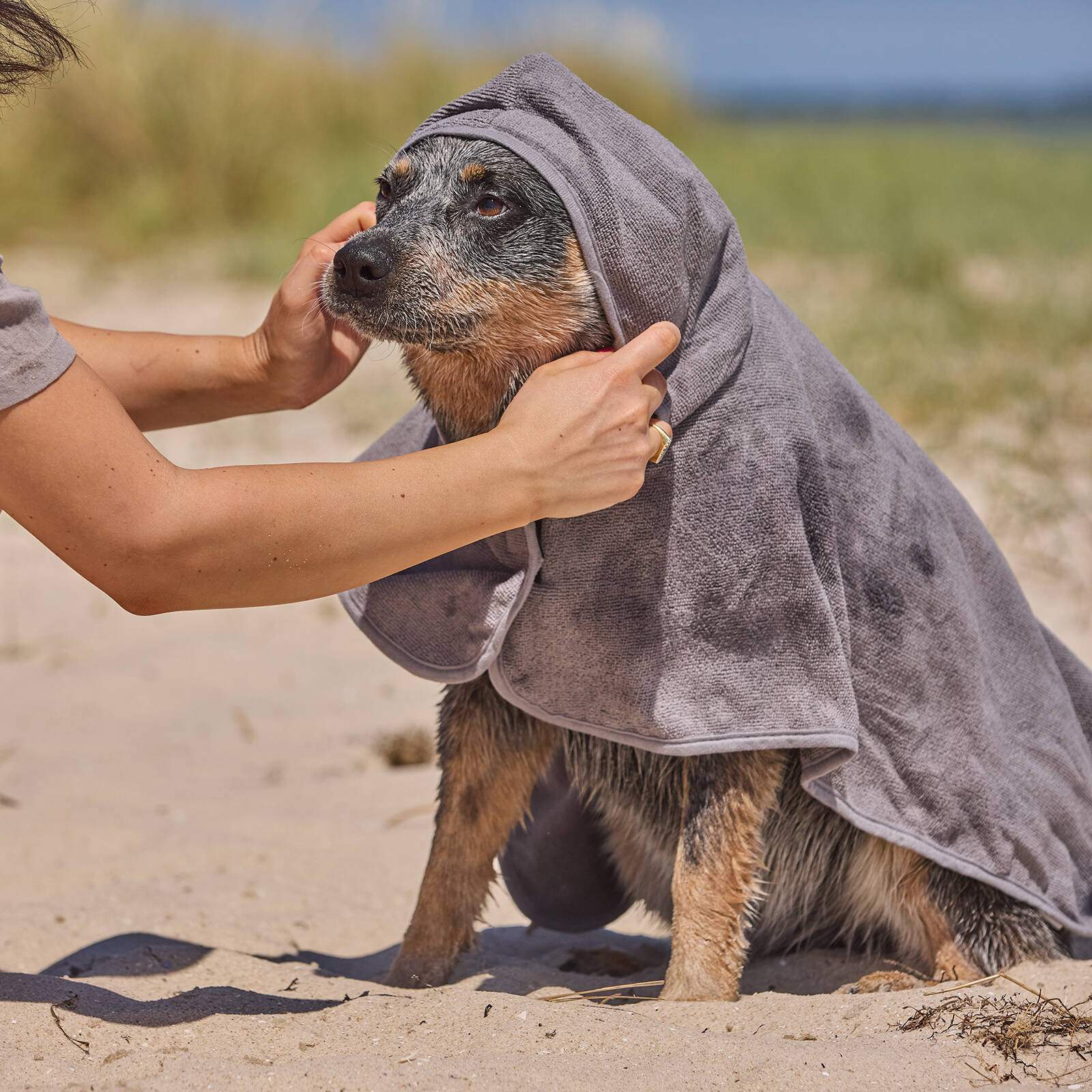 Happy Tails Hooded Pet Towel, Super Absorbent Polyester and Nylon