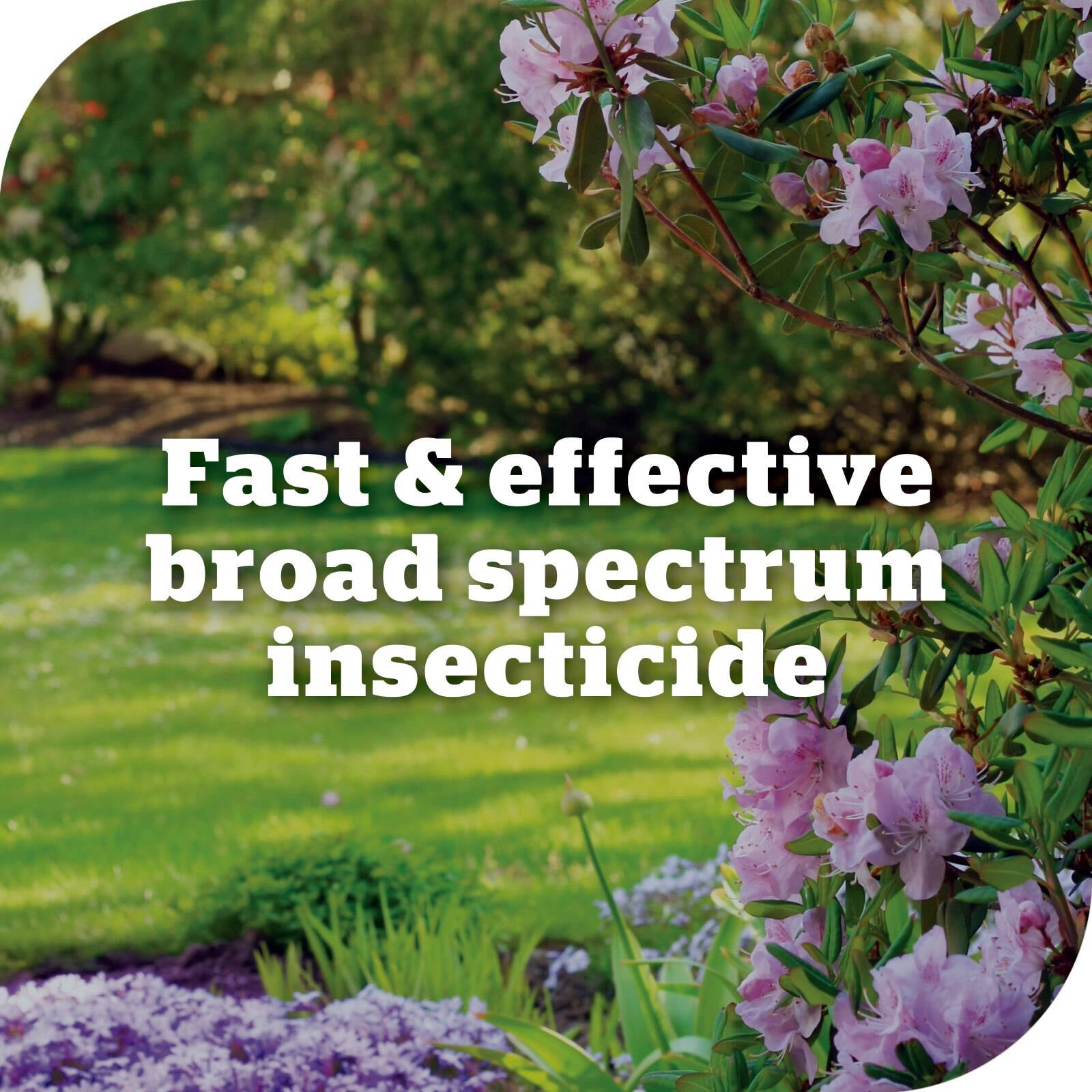 Yates 50ml Advanced Garden Insect Killer Liquid Concentrate