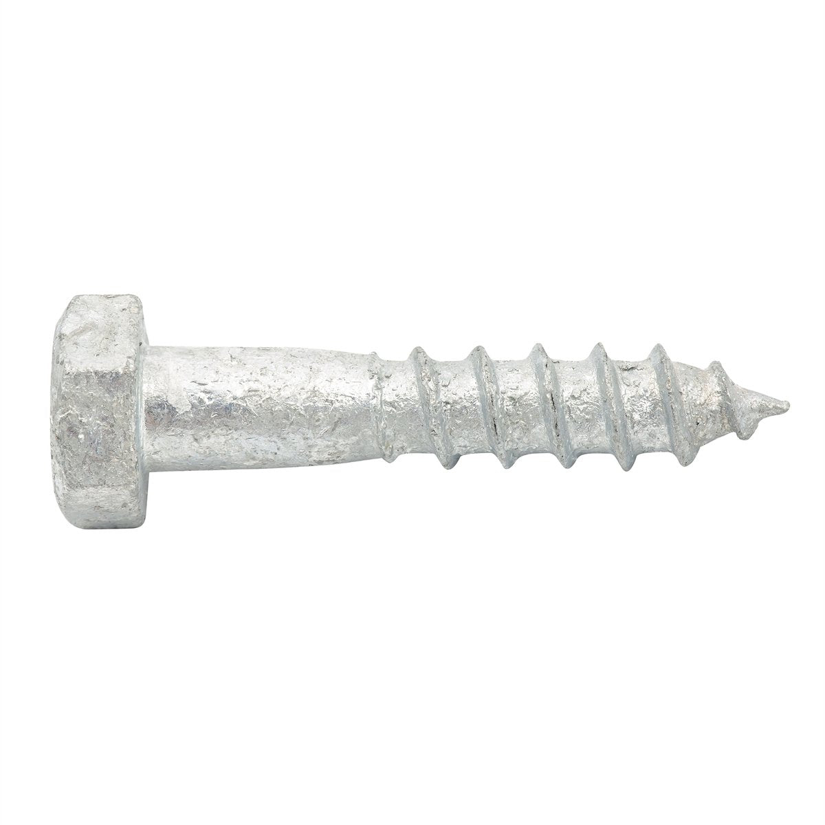 Zenith Coach Screw - M8 x 40mm - Hot Dipped Galvanised - 25 Pack - SuperSaverAU - view 2