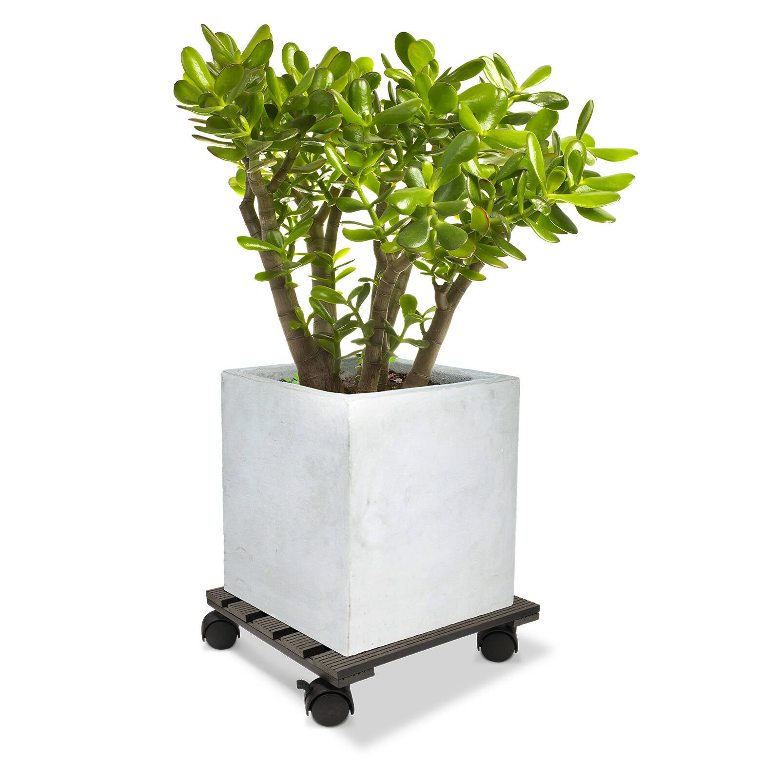 Jack 29cm Square Charcoal Pot Trolley - Wood-Poly Composite, 100kg Capacity