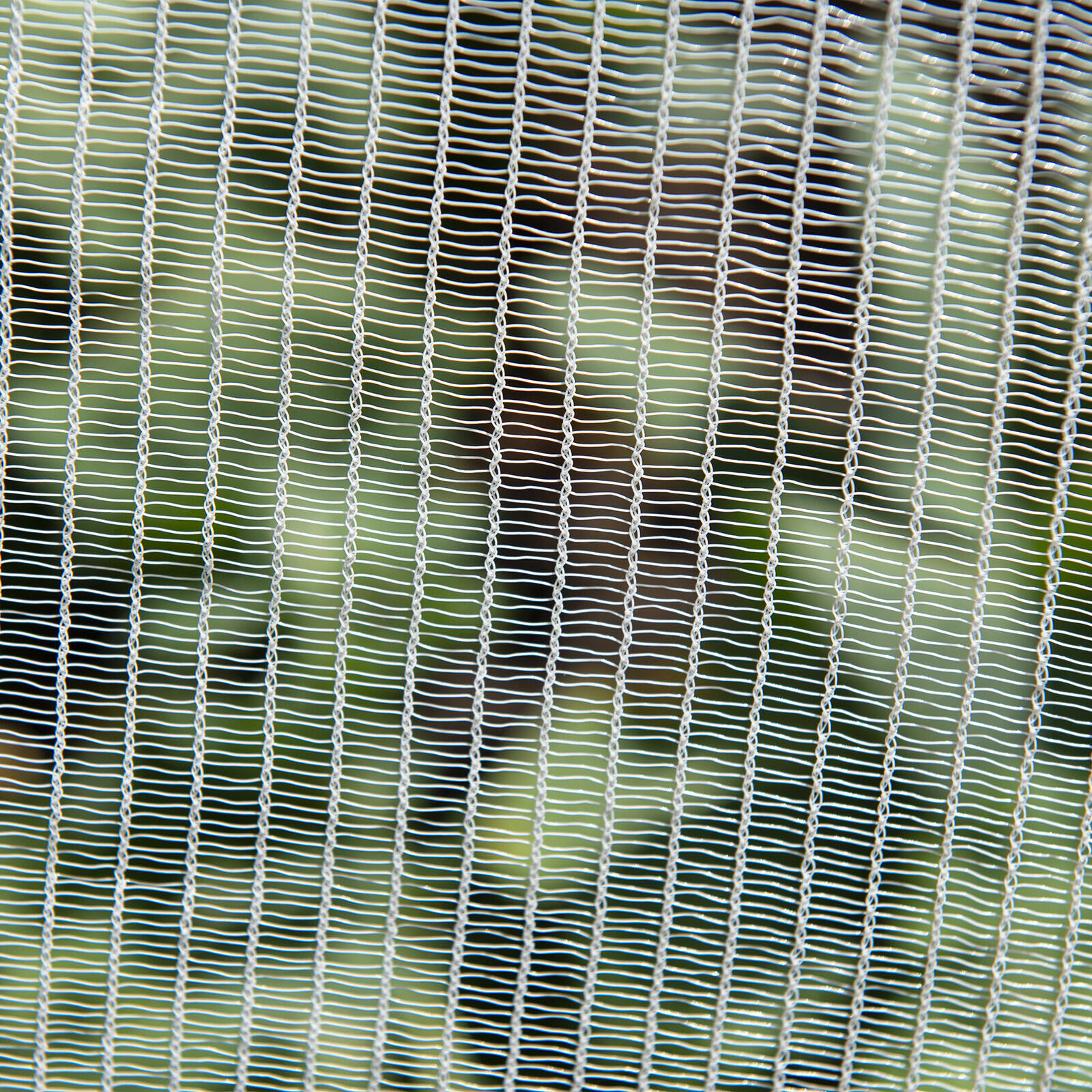 Backyard Farmer 4 x 10m x 5mm White Anti Bird Net