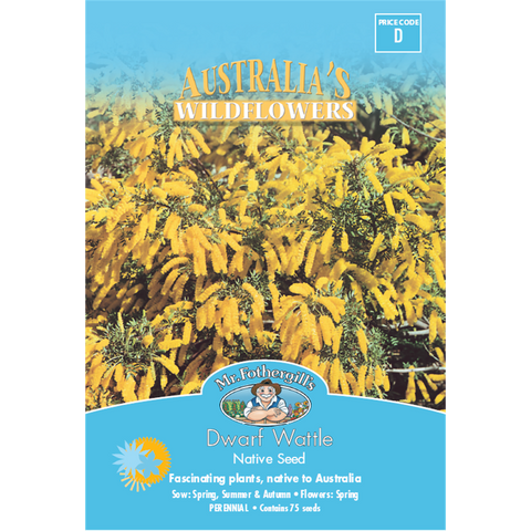 Mr Fothergill Dwarf Wattle Flower Seeds 100cm Seed Long Lasting - SuperSaverAU - view 1