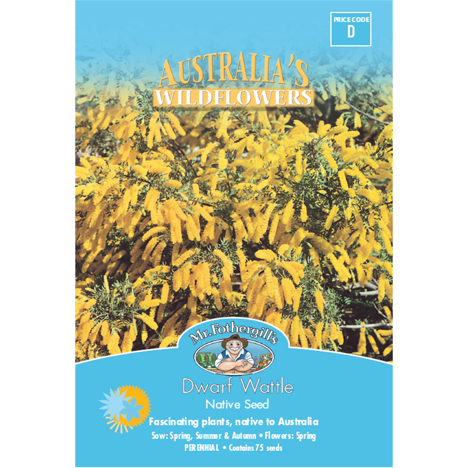Mr Fothergill's Dwarf Wattle Flower Seeds, Bright Yellow Native Shrub