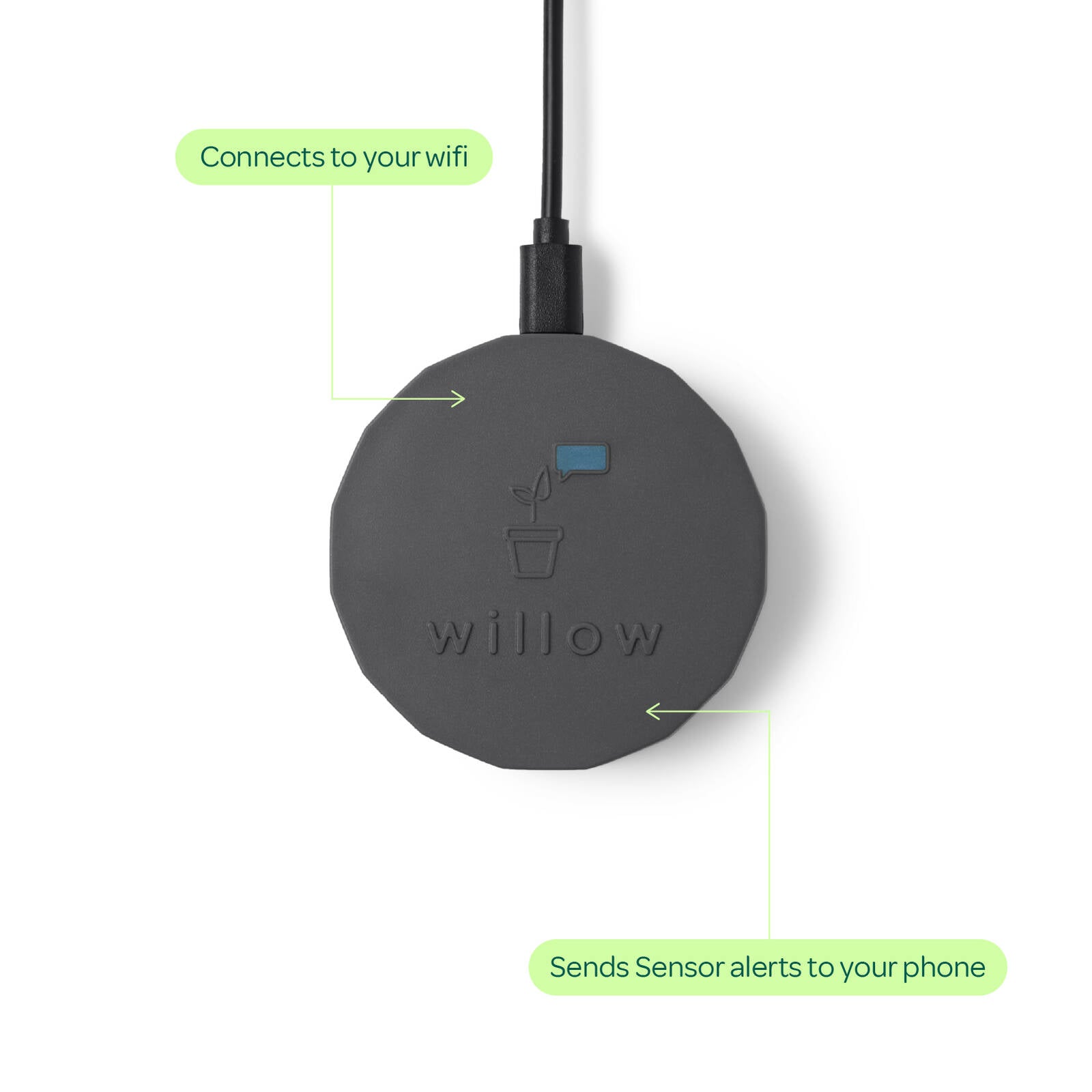 Plant with Willow Smart Indoor Plant Sensor Charcoal, Bluetooth Monitoring