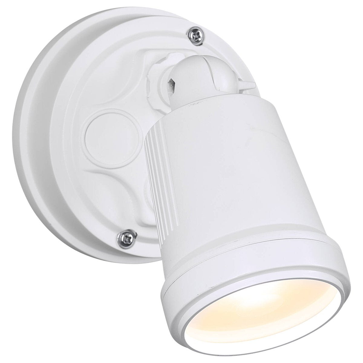 Brilliant White Raptor III 10W LED Flood Light Adjustable Outdoor 22597/05