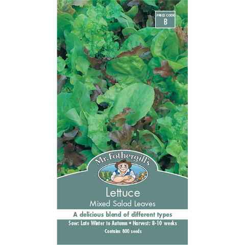 Mr Fothergill's Lettuce Mixed Salad Leaves Seeds - Cut-and-Come-Again, Sun or Shade