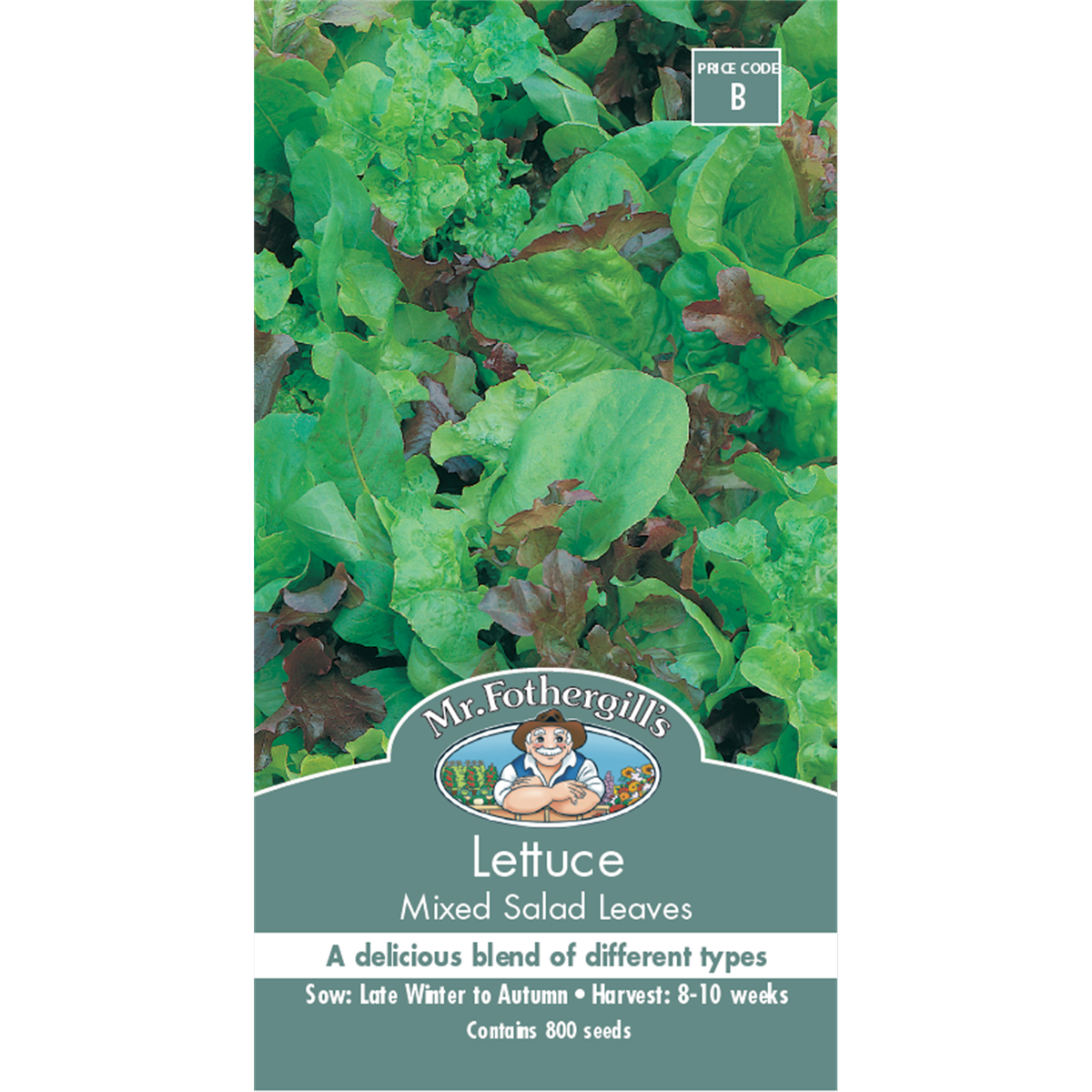 Mr Fothergill's Lettuce Mixed Salad Leaves Seeds - Cut-and-Come-Again, Sun or Shade
