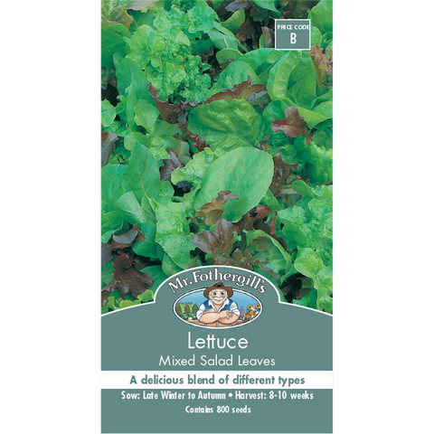 Mr Fothergill Lettuce Mixed Salad Leaves Seeds 75mm Green Healthy - SuperSaverAU - view 1