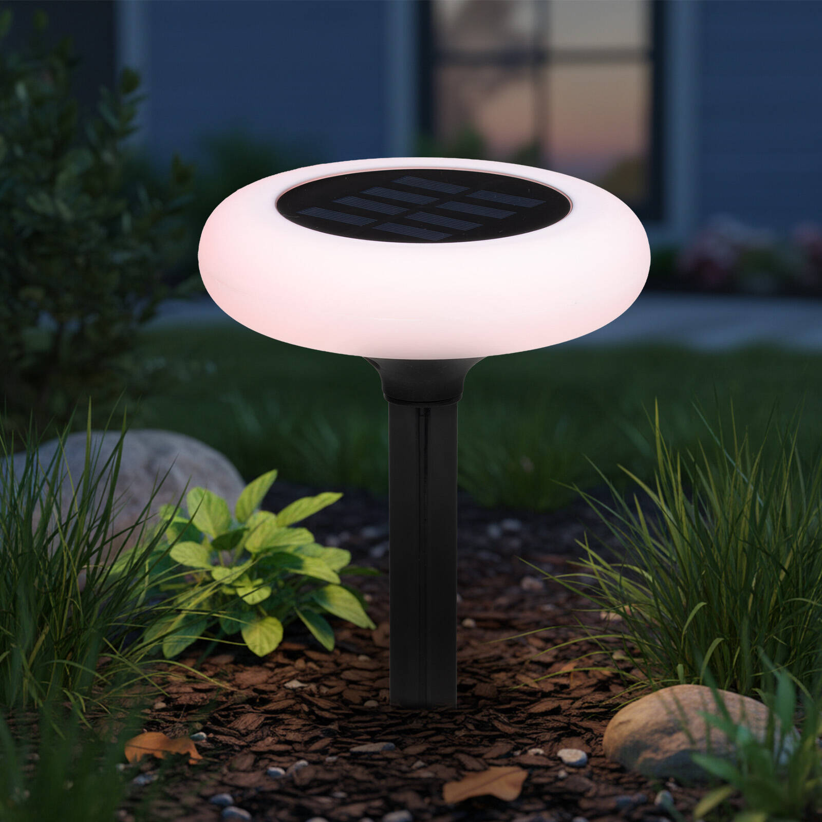 Click Solar RGB Stake Light Black LED Weather Resistant Outdoor Garden Light
