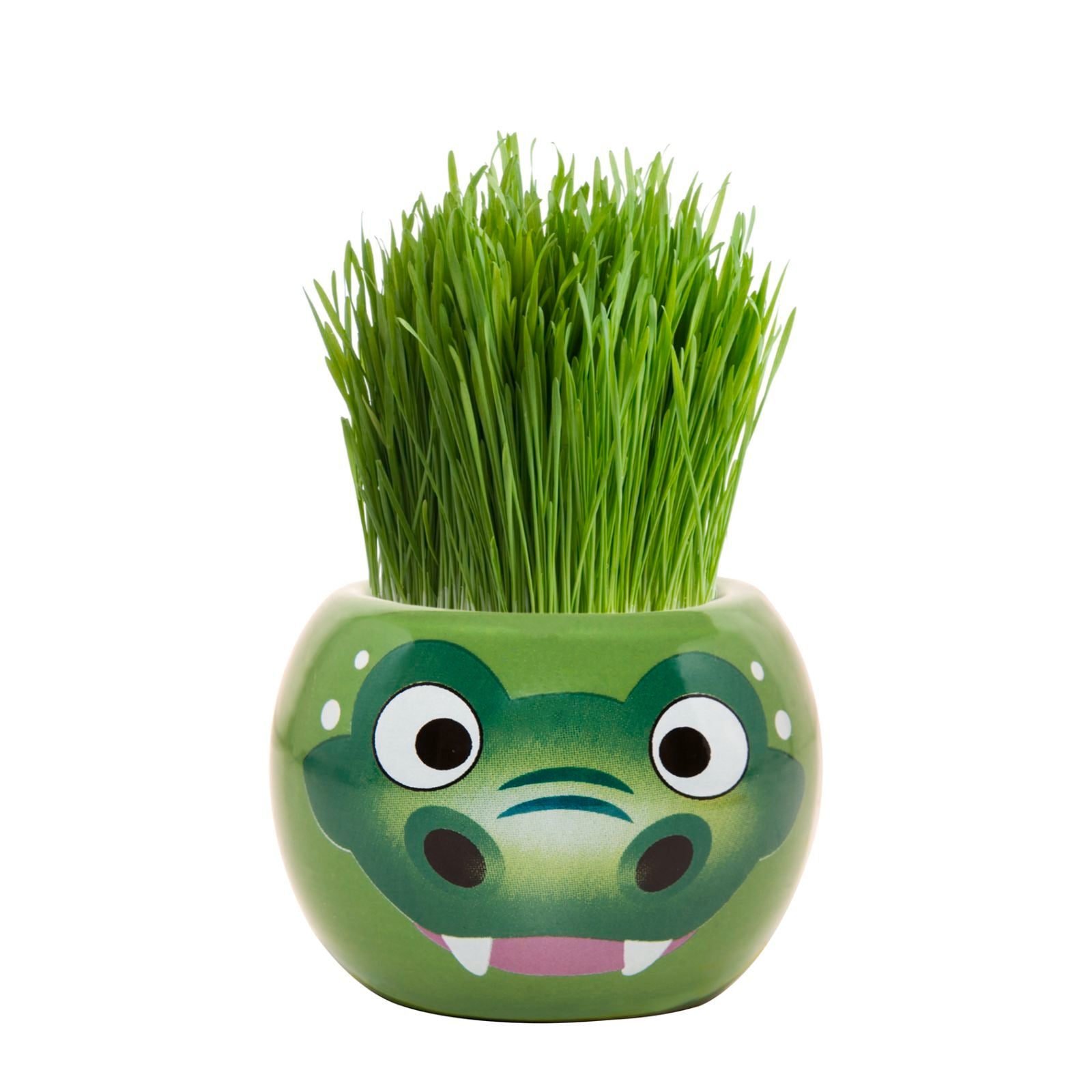 Mr Fothergill's Crocodile Grass Hair Growing Kit, Fun Kids' Ryegrass Kit