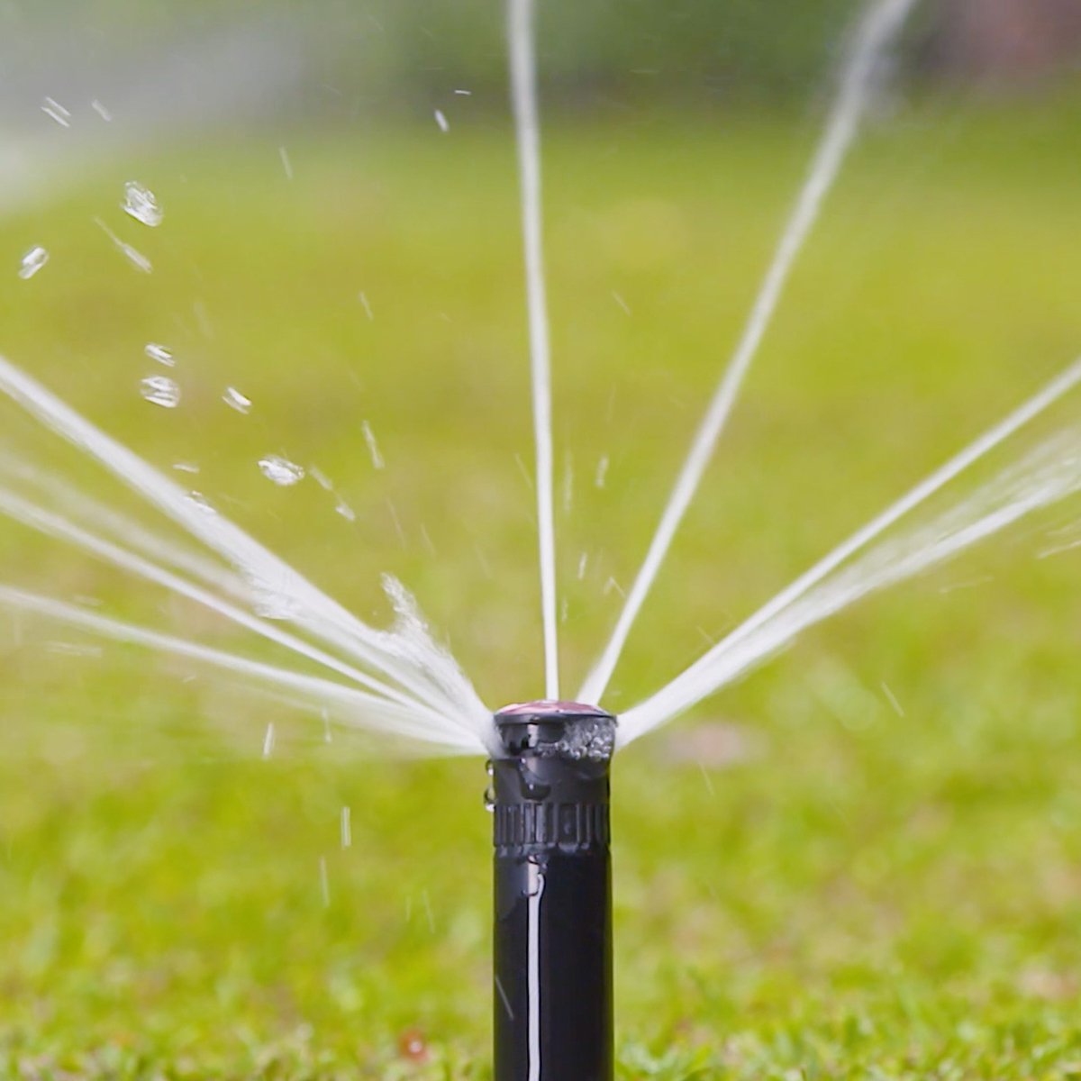 Holman 50mm Longstream Full Circle Rotating Pop Up Sprinkler - Black - SuperSaverAU - view 4