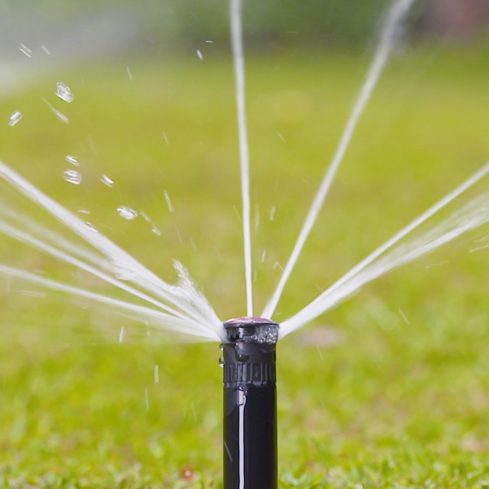 Holman 50mm Longstream Full Circle Rotating Pop Up Sprinkler - 15mm BSP, 800 kPa, Black