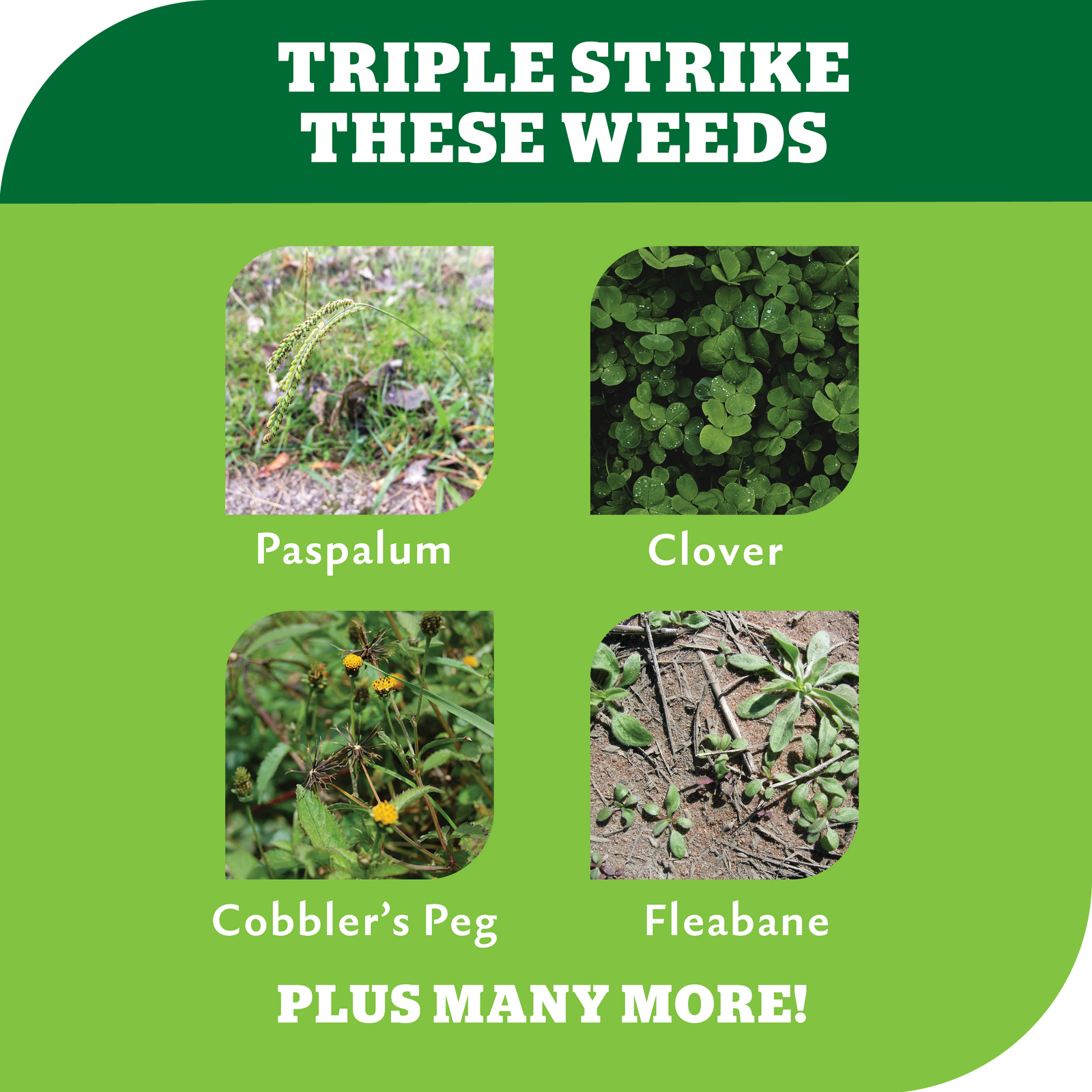 Yates Zero Triple Strike Garden Weedkiller, 1L Ready-to-Use Liquid