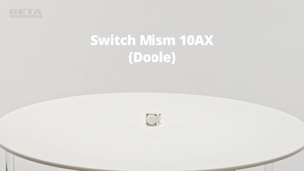 DETA Double Pole Switch Mechanism 10A 250V White Polycarbonate