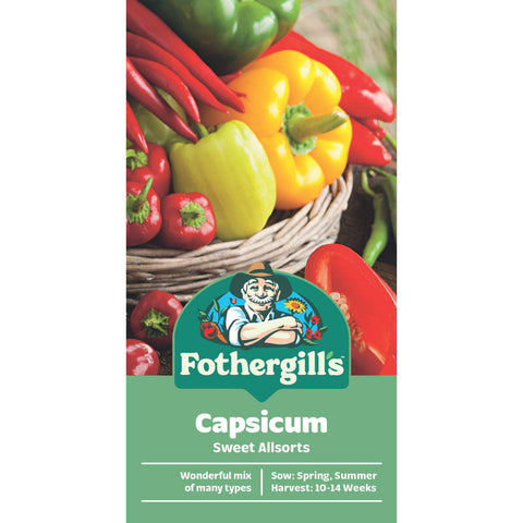 Mr Fothergill's Sweet Allsort Capsicum Seeds - Mixed Thick-Skinned Sweet Peppers