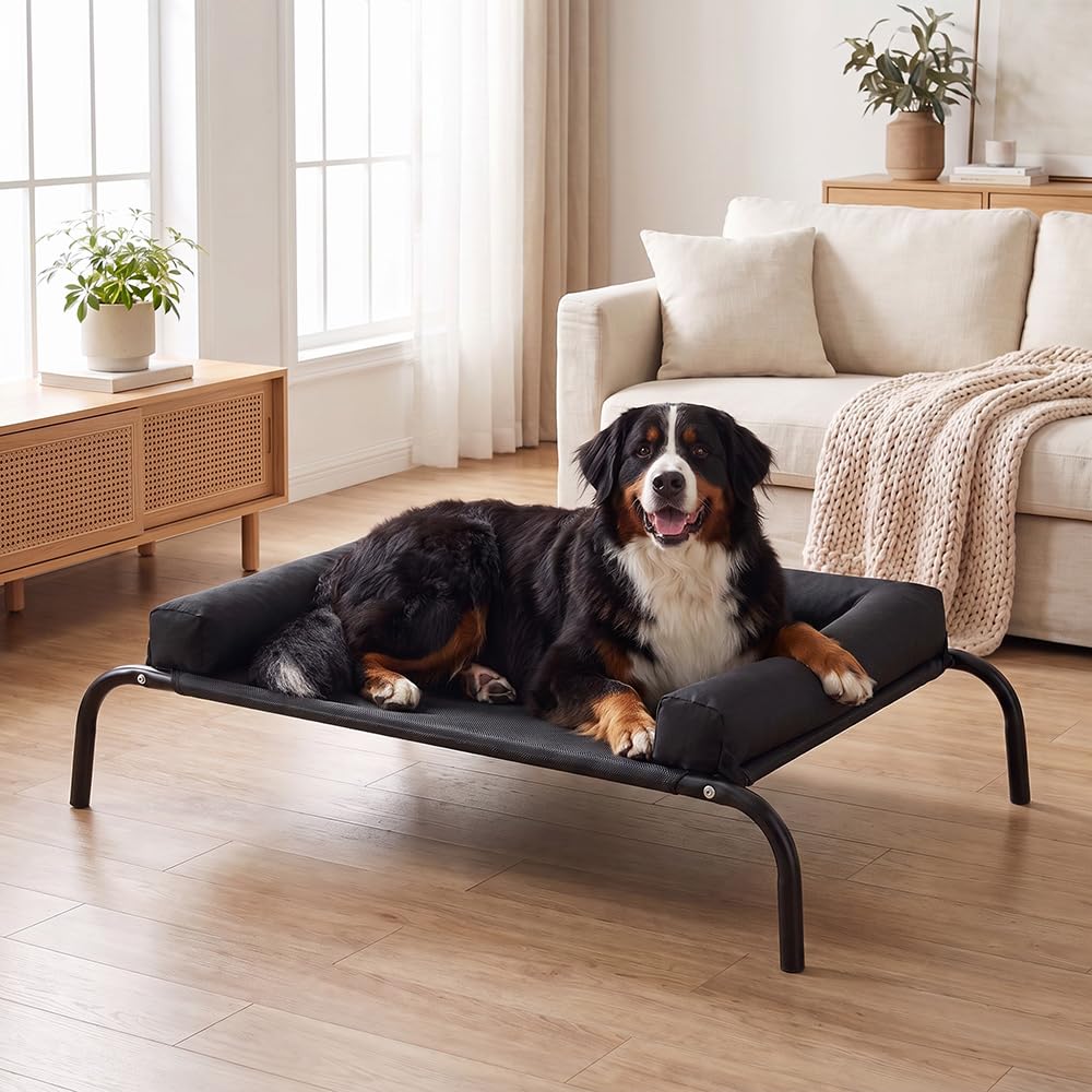 Cooling Elevated Dog Bed with Bolster - Black, XL 123 x 90 x 20cm - Textilene Mesh, Steel Frame, Holds 60kg
