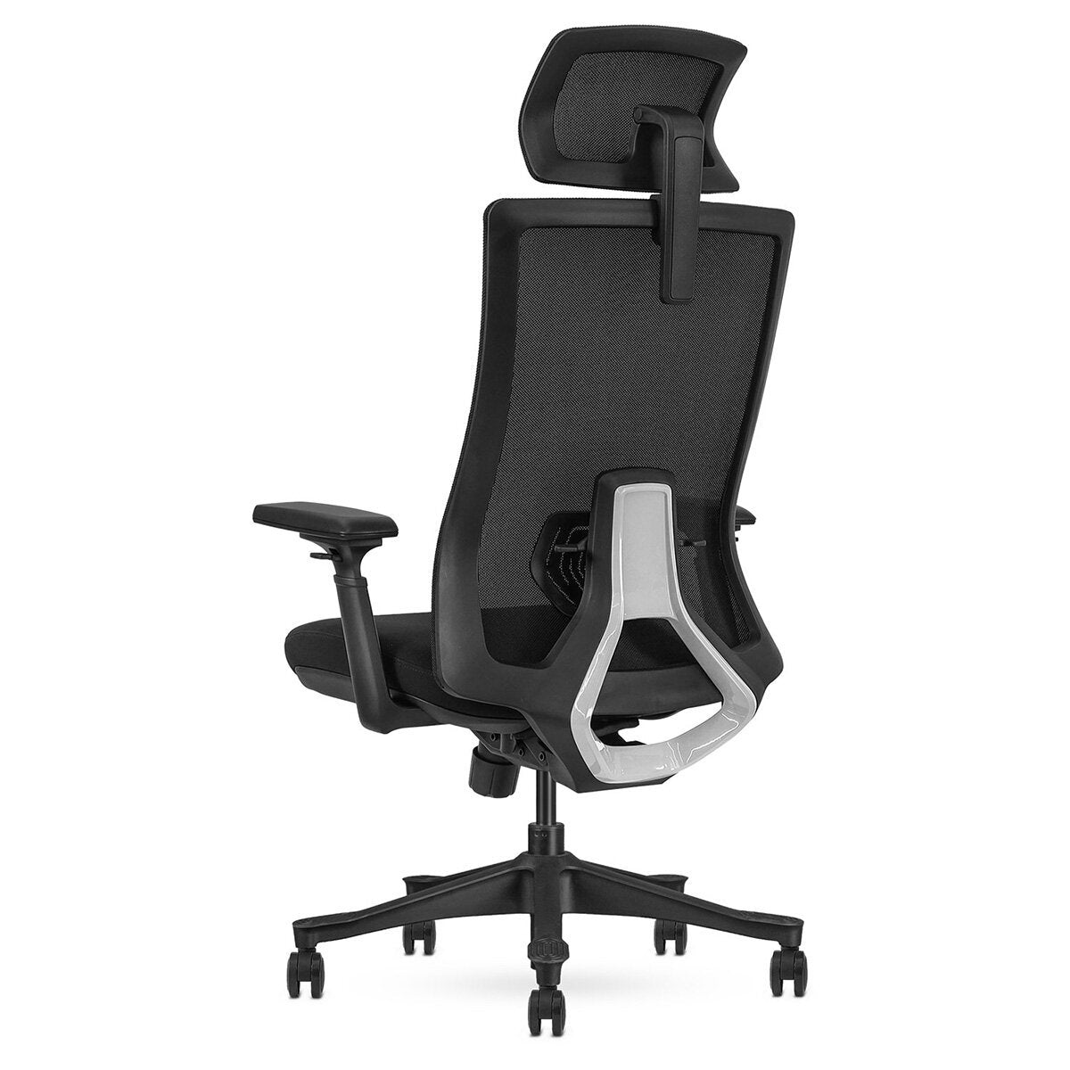 Lifespan Fitness DM9 Ergonomic Mesh High Back Office Chair - Adjustable Lumbar, 3D Armrests - LFOC-DM9BK-1