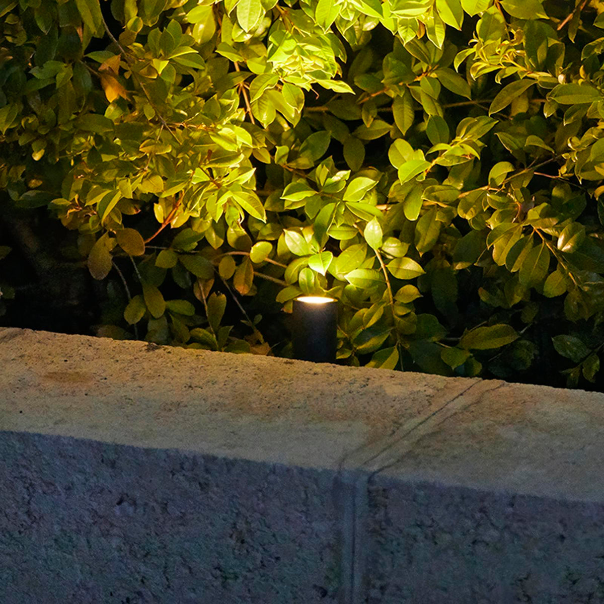 Elluminate 2W 12V Bluetooth Garden Spotlight Kit 4 Pack Dusk to Dawn