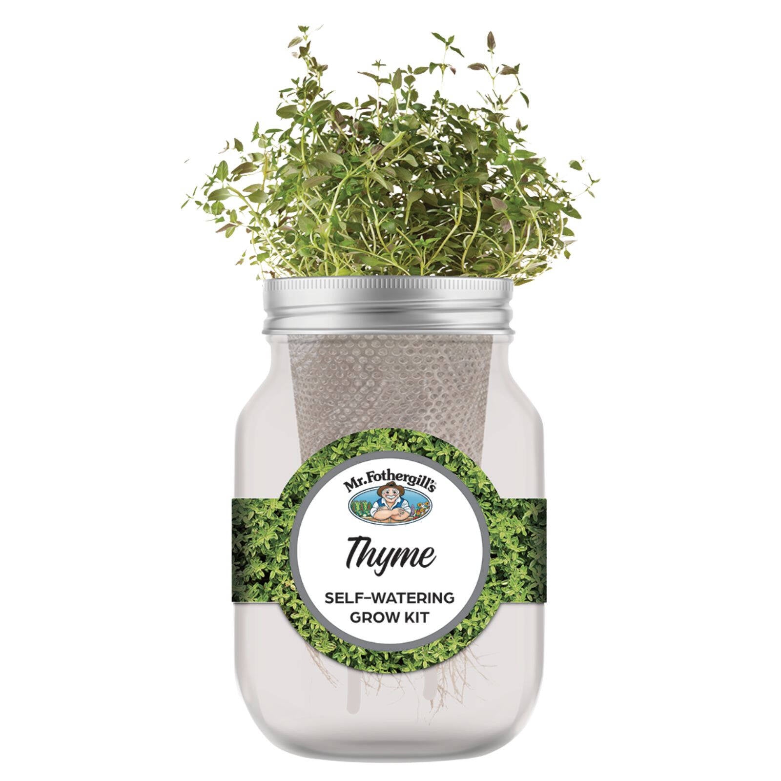 Mr Fothergill's Thyme Self Watering Mason Jar Grow Kit 90 x 172mm