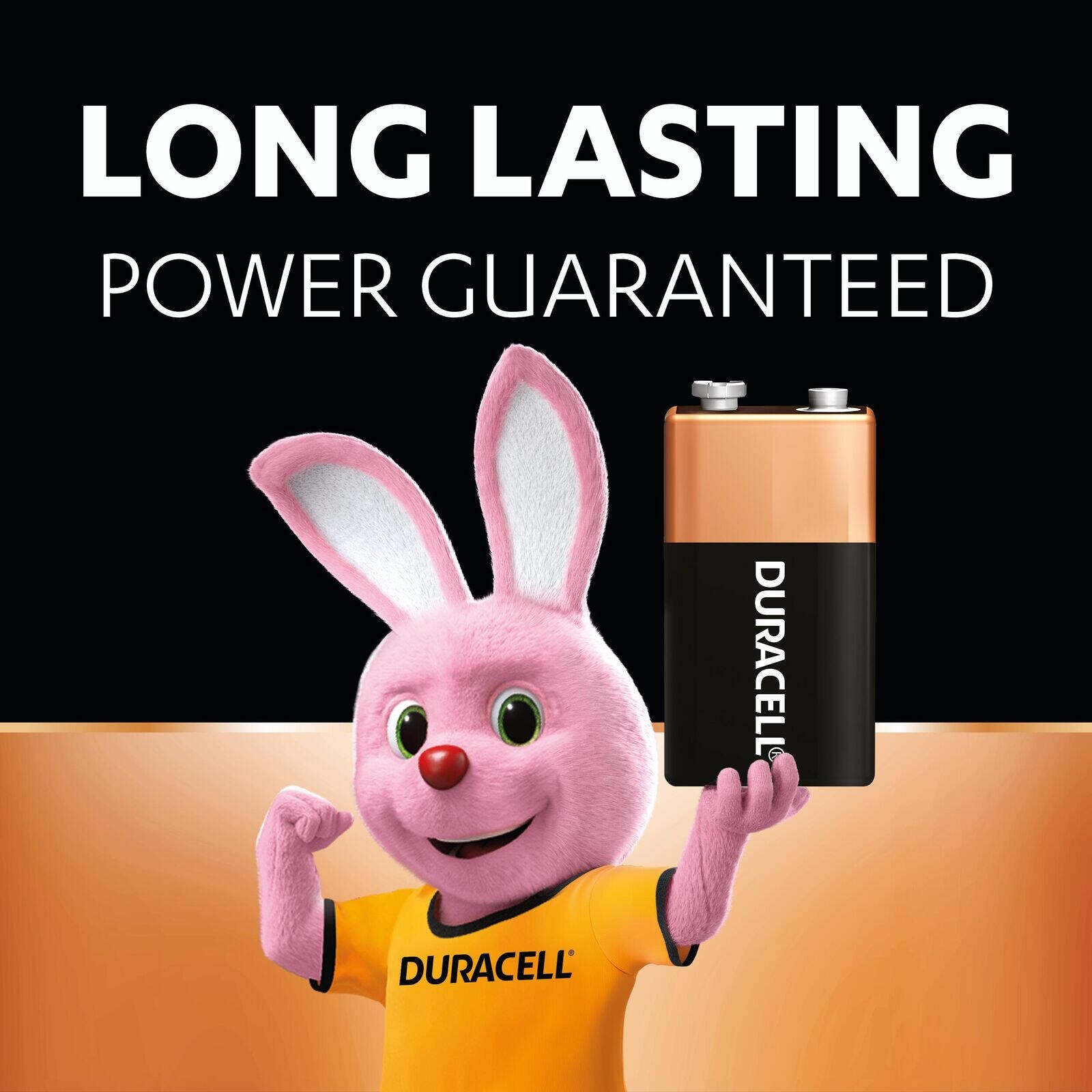 Duracell Coppertop 9V Alkaline Batteries, 4 Pack