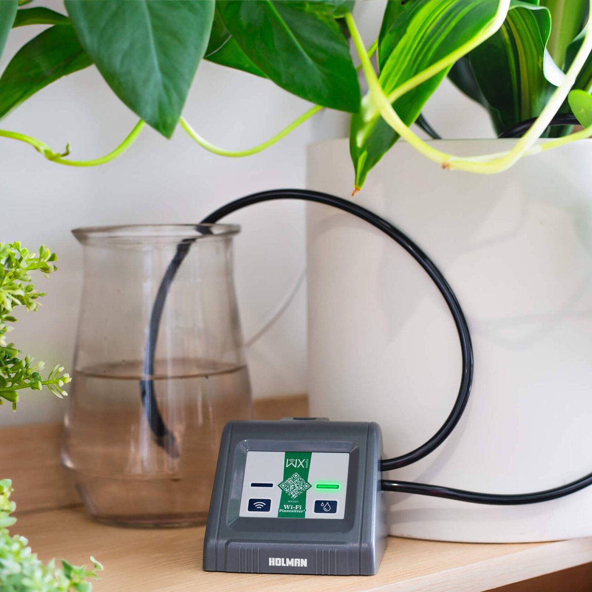 Holman Wi Fi Plantsitter Indoor Timer Kit - 10 Plant Watering System - 216mm x 100mm x 146mm - SuperSaverAU - view 5