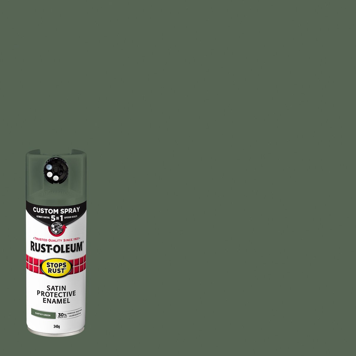 Rust-Oleum 340g Satin Earthy Green Stops Rust Custom Spray 5 In 1 Spray Paint