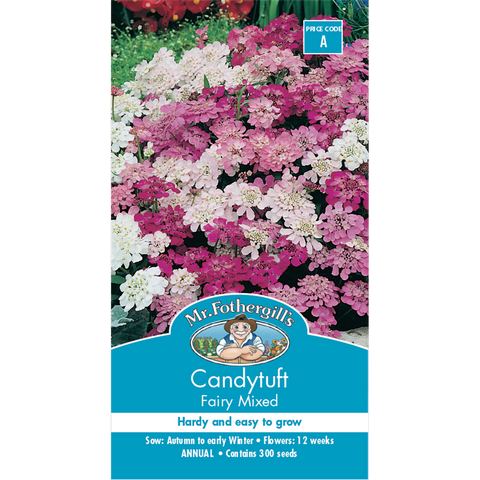 Mr Fothergill Candytuft Fairy Mixed Flower Seeds 75mm Easy Grow - SuperSaverAU - view 1