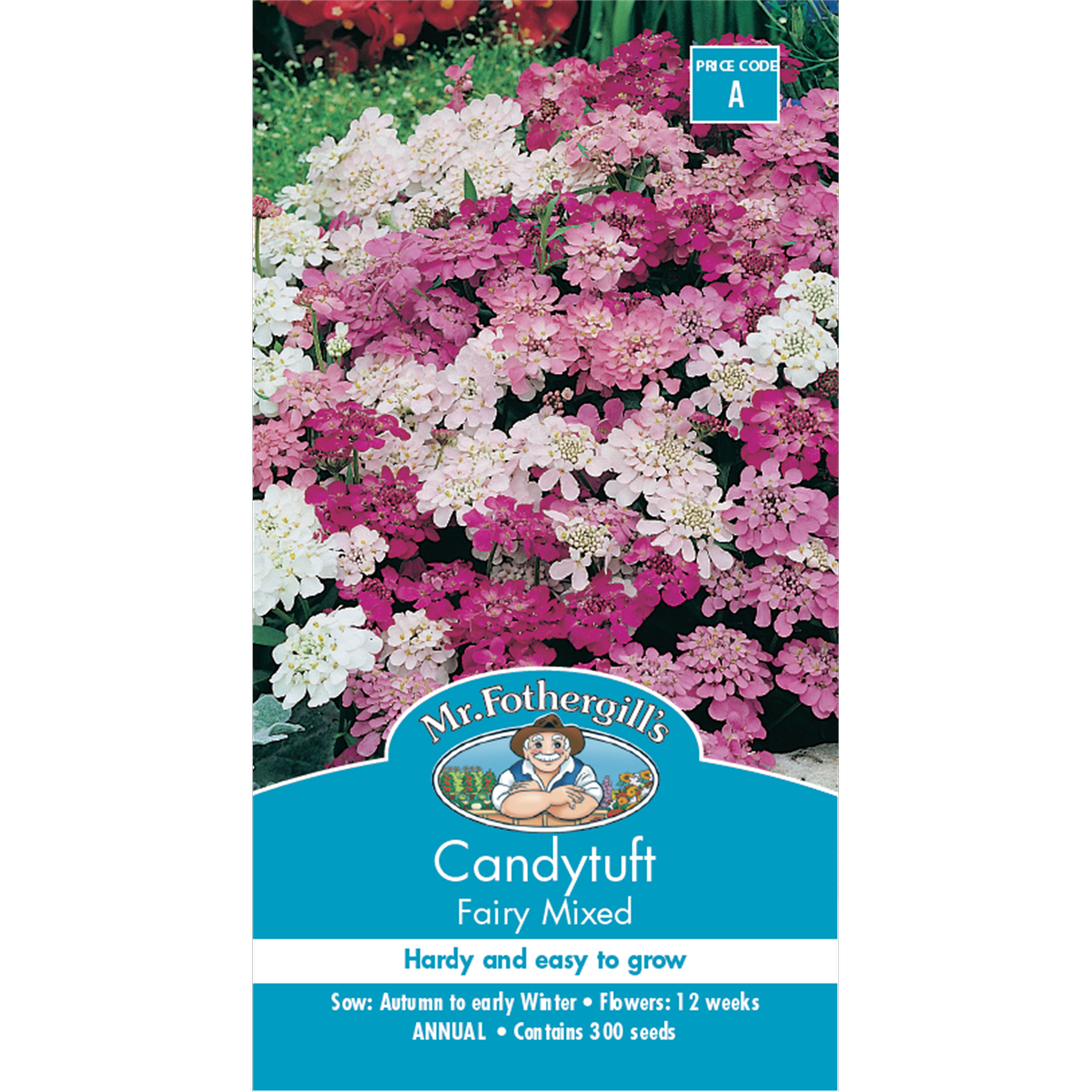 Mr Fothergill Candytuft Fairy Mixed Flower Seeds 75mm Easy Grow - SuperSaverAU - view 1