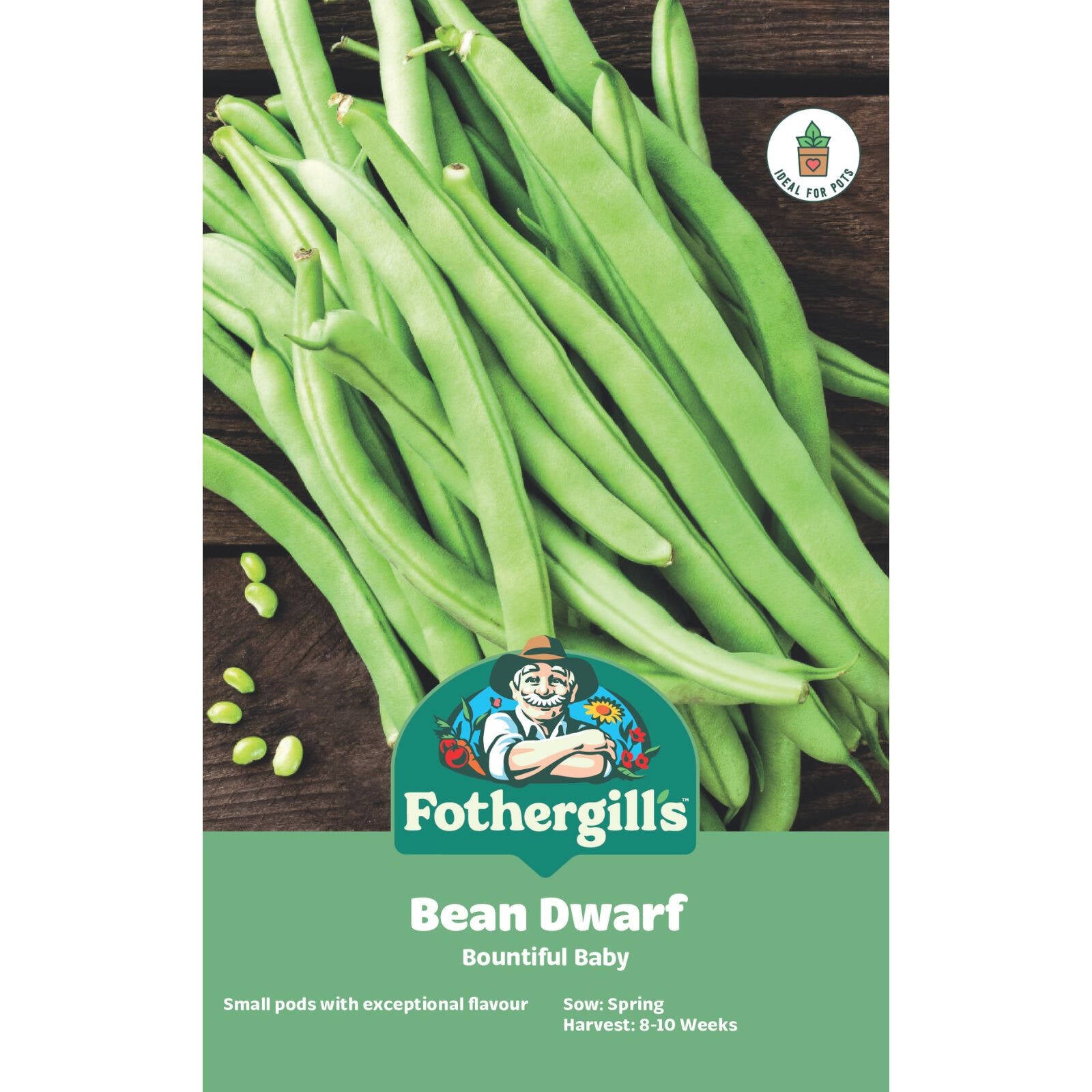 Mr Fothergill's Bountiful Baby Dwarf Bean Vegetable Seeds, Small Tasty Pods
