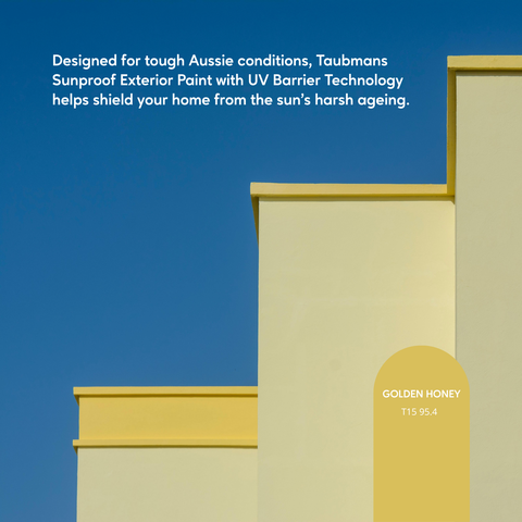 Taubmans Sunproof Accent Gloss Water Based Acrylic Exterior Paint 1L