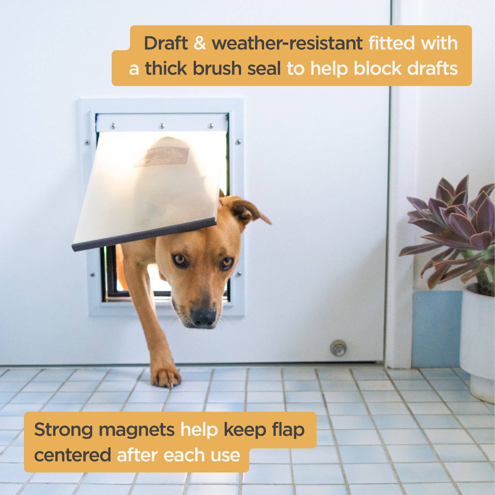 Hakuna Pets Medium Deluxe Aluminium Pet Door - White, Lockable, 4-Way Flap