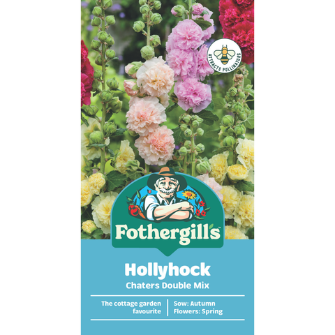 Mr Fothergill's Hollyhock Chaters Double Flower Seeds - Tall Cottage Garden Spikes, 240cm