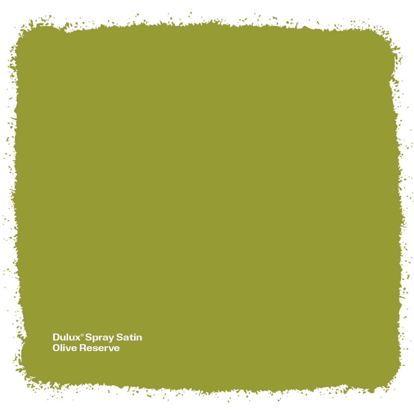 Dulux 340g Olive Reserve Satin Spray Paint
