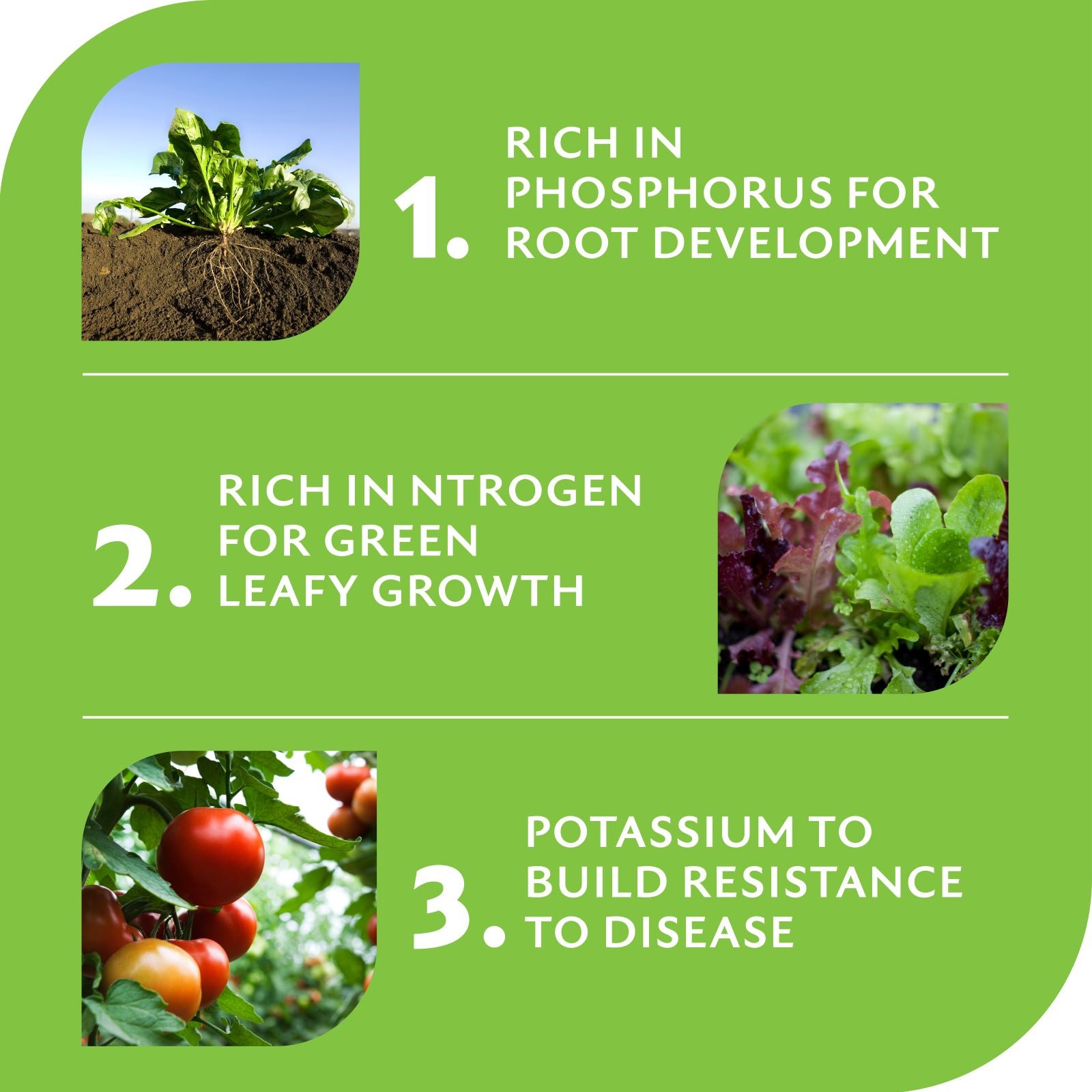 Yates Blood & Bone Plant Food 10kg - Organically Based with Potash Fertiliser