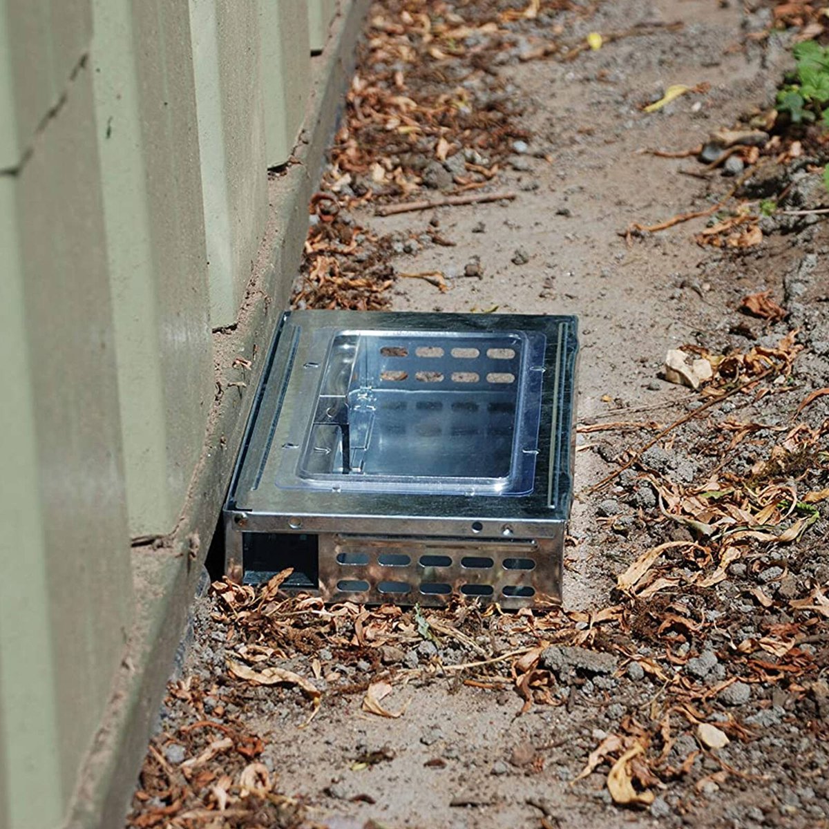 The Big Cheese Multi Catch Mouse Trap - 200mm x 400mm - Galvanised Steel - Self Setting - SuperSaverAU - view 5